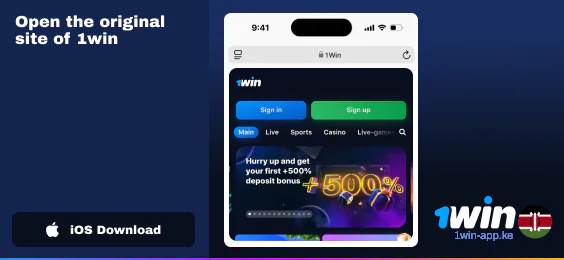 Browse Official 1Win Website
